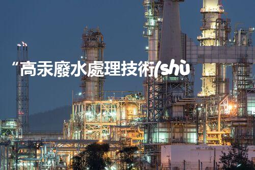 “高汞廢水處理技術(shù)，綠色環(huán)保新篇章”